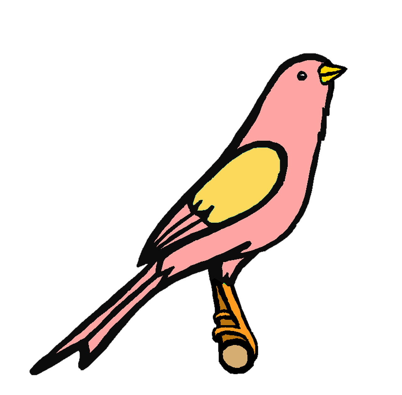 pink bird cute free photo