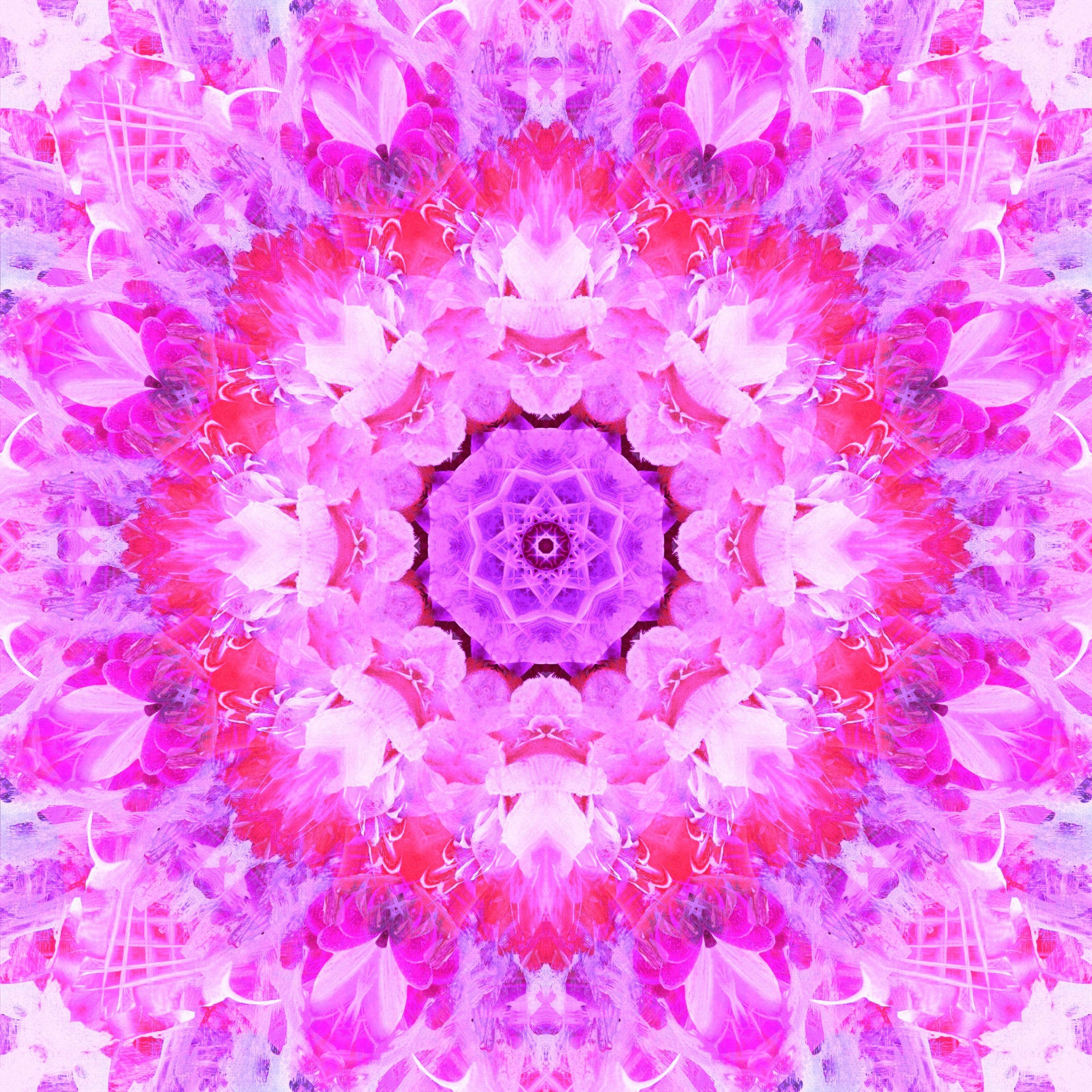 abstract pattern floral free photo