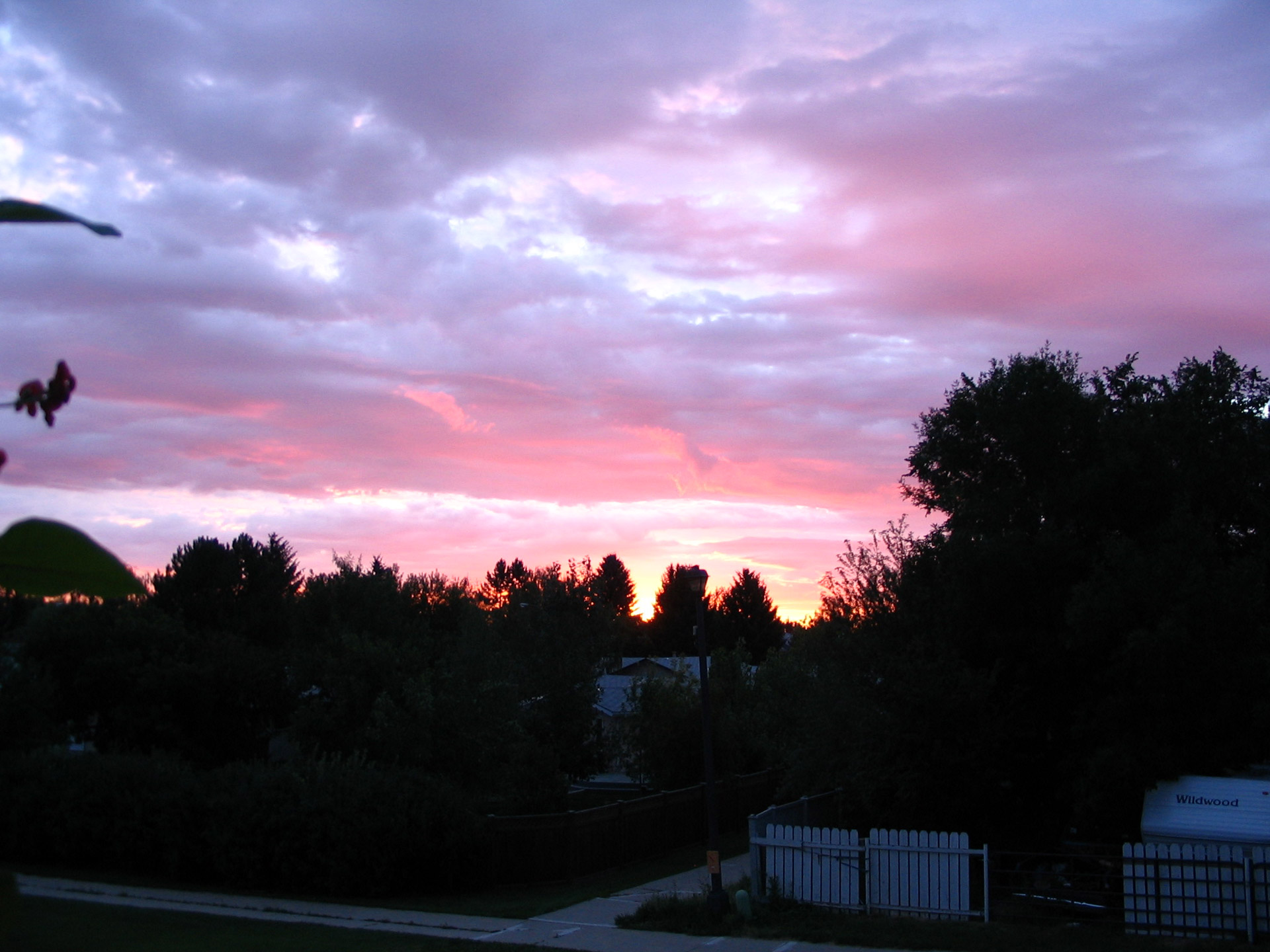 sunset pink purple free photo