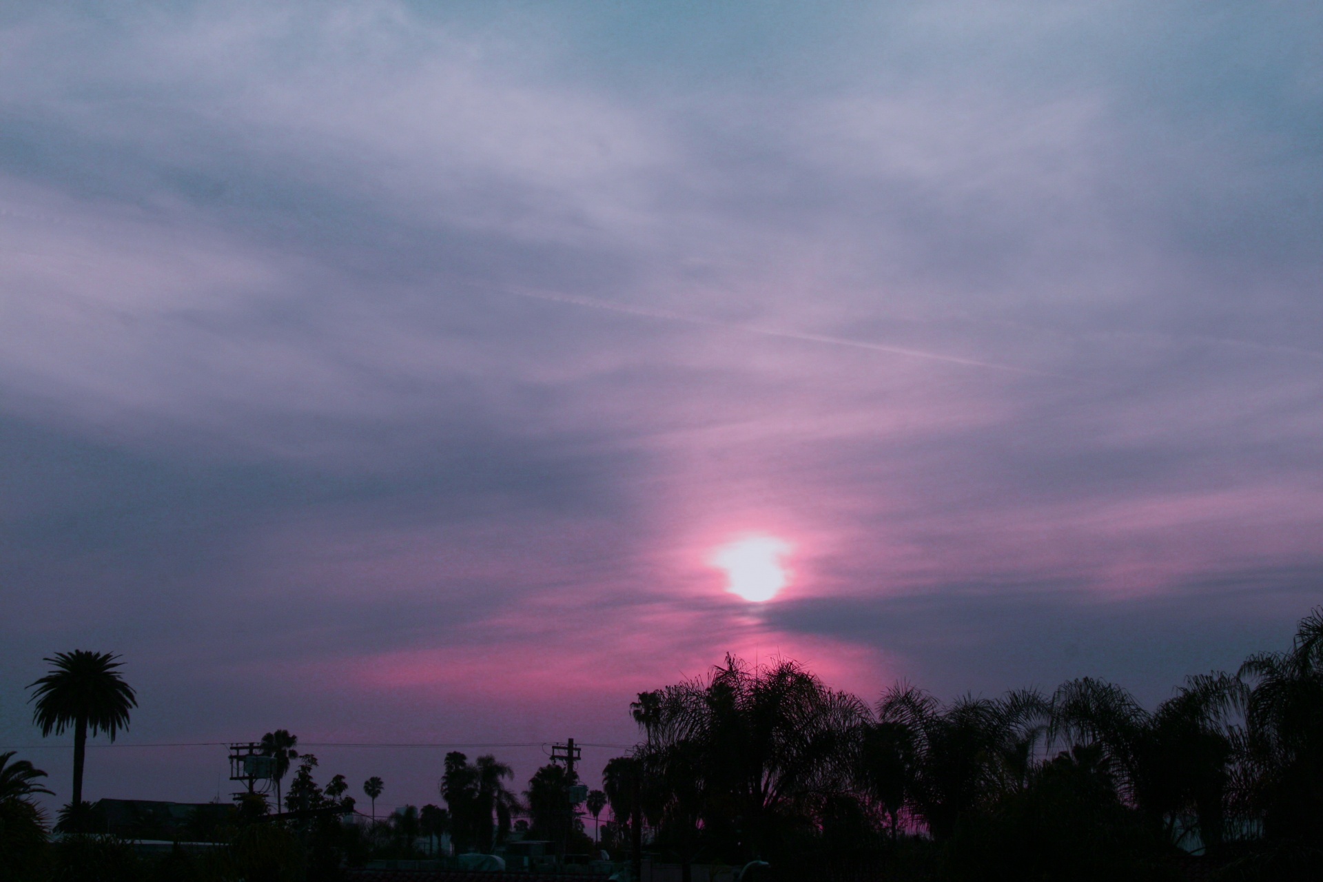 hollywood california sunset free photo