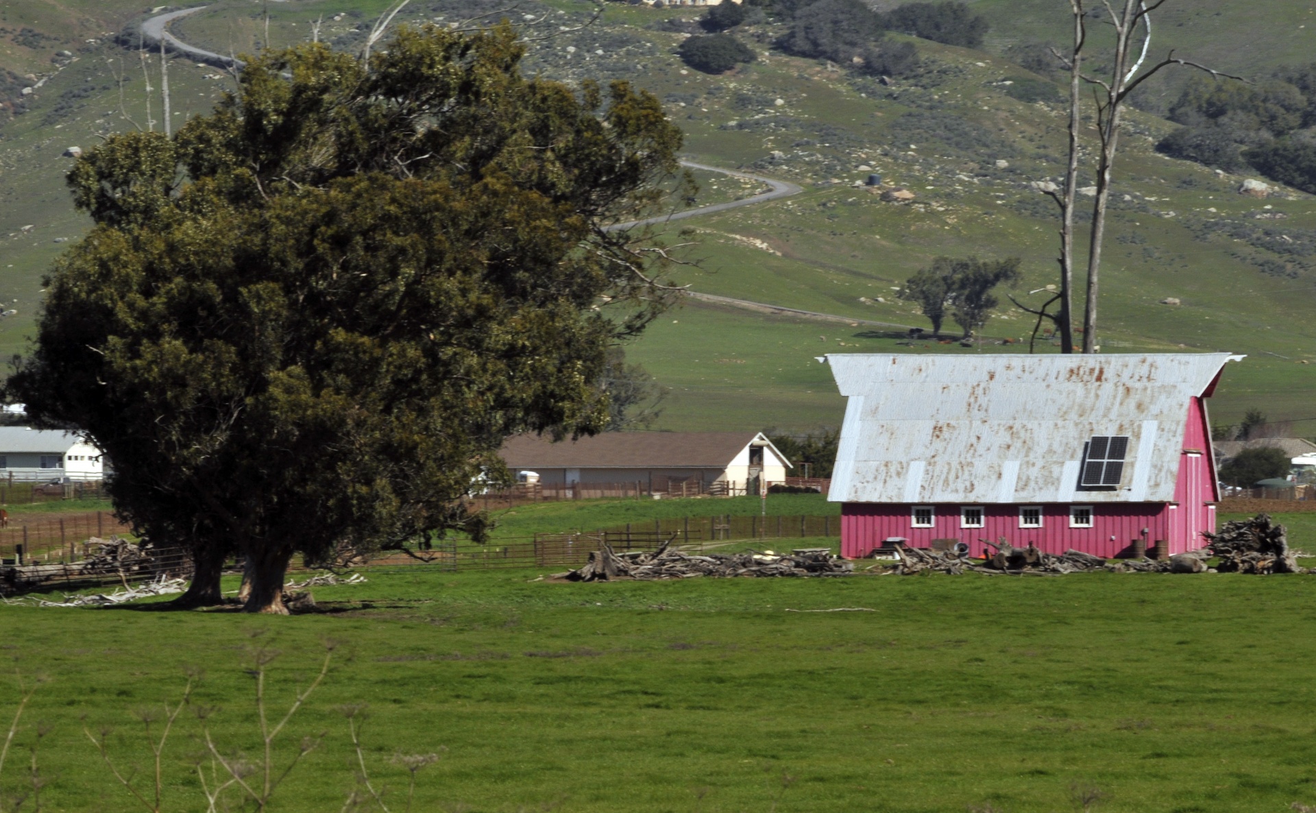 barn green tree free photo