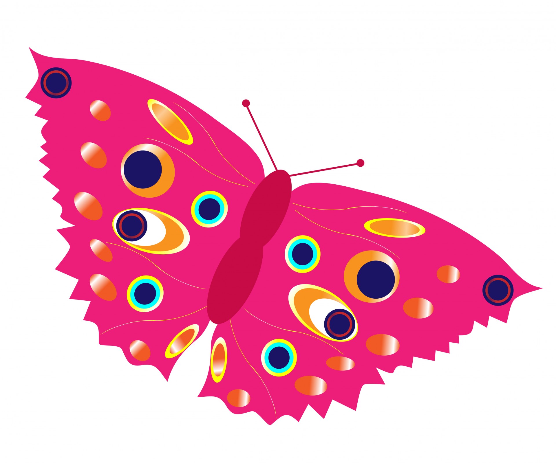 butterfly clipart pink free photo