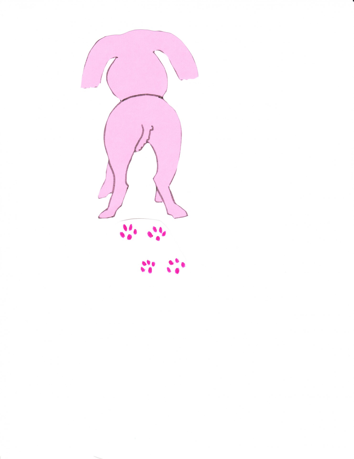 dog animals pink free photo