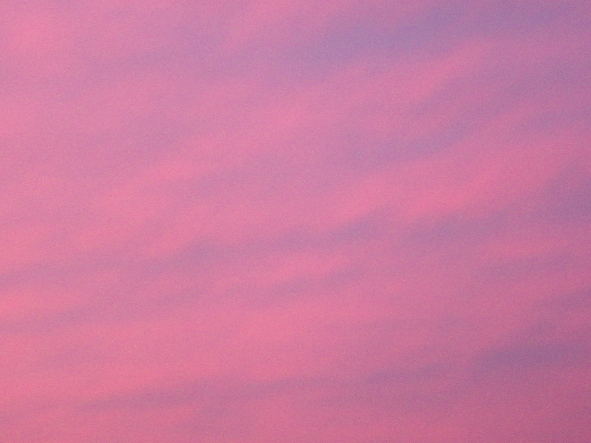 pink pink sky pink sunset free photo