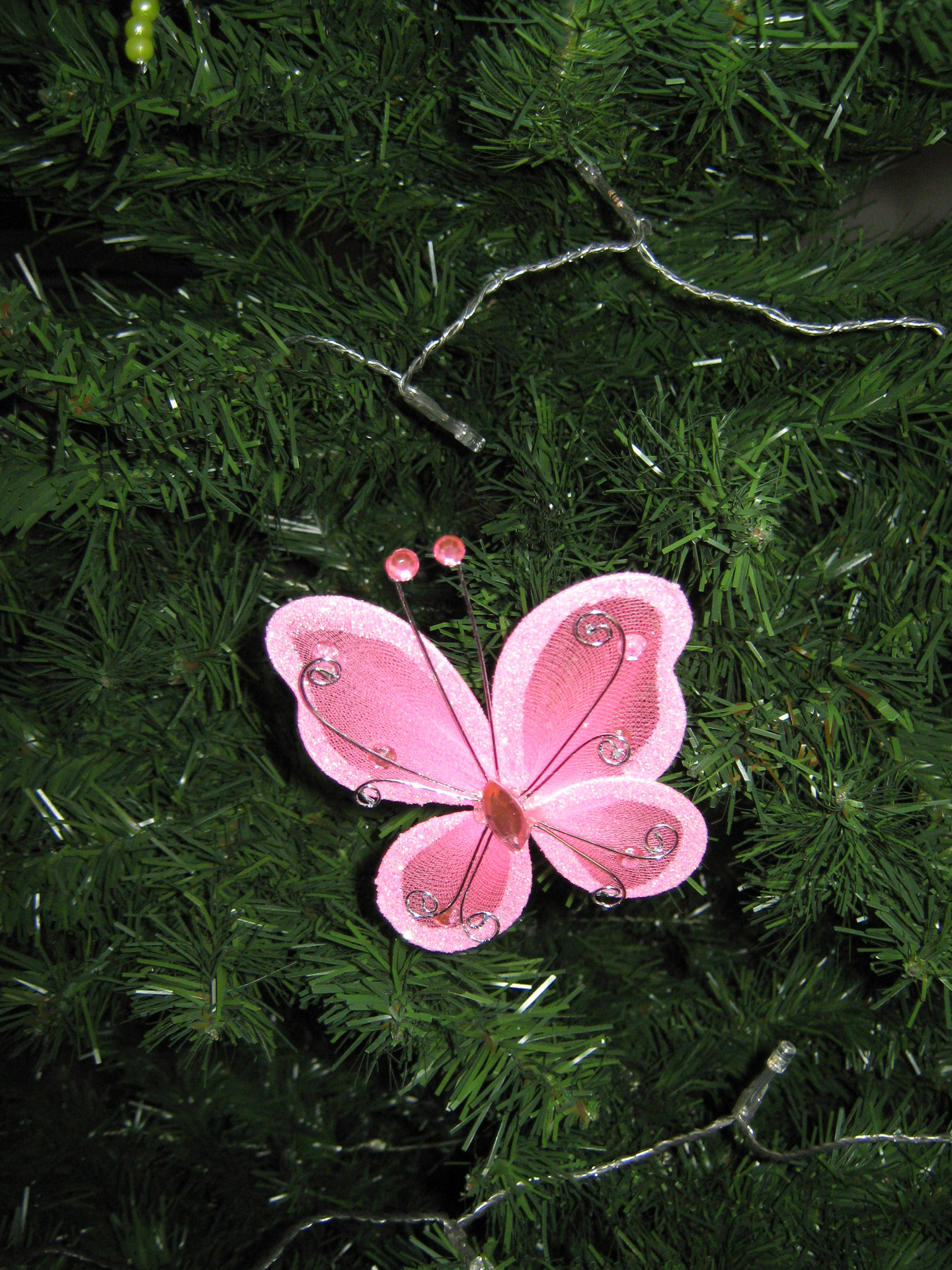 pink butterfly christmas free photo