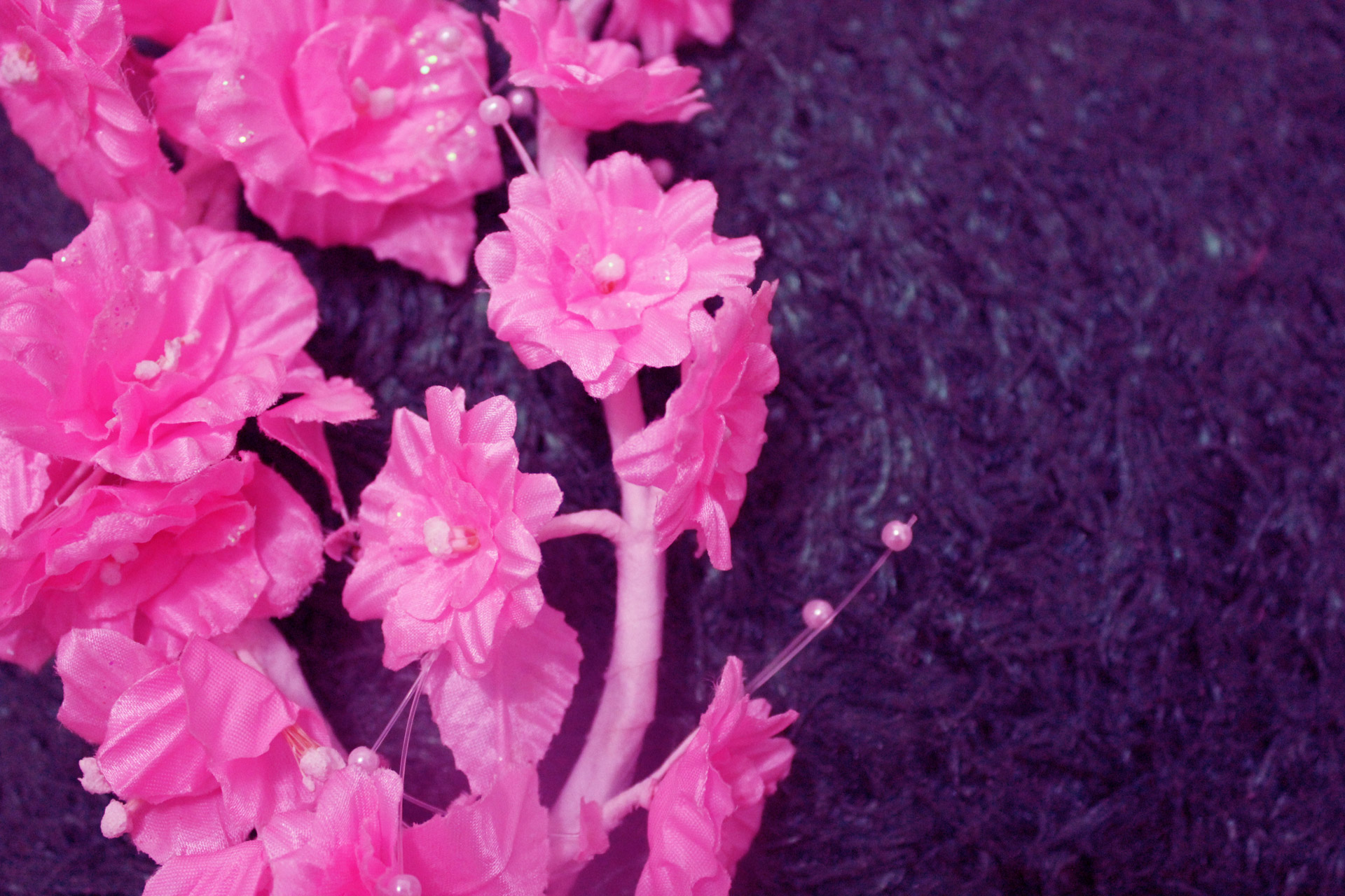 flowers petals background free photo