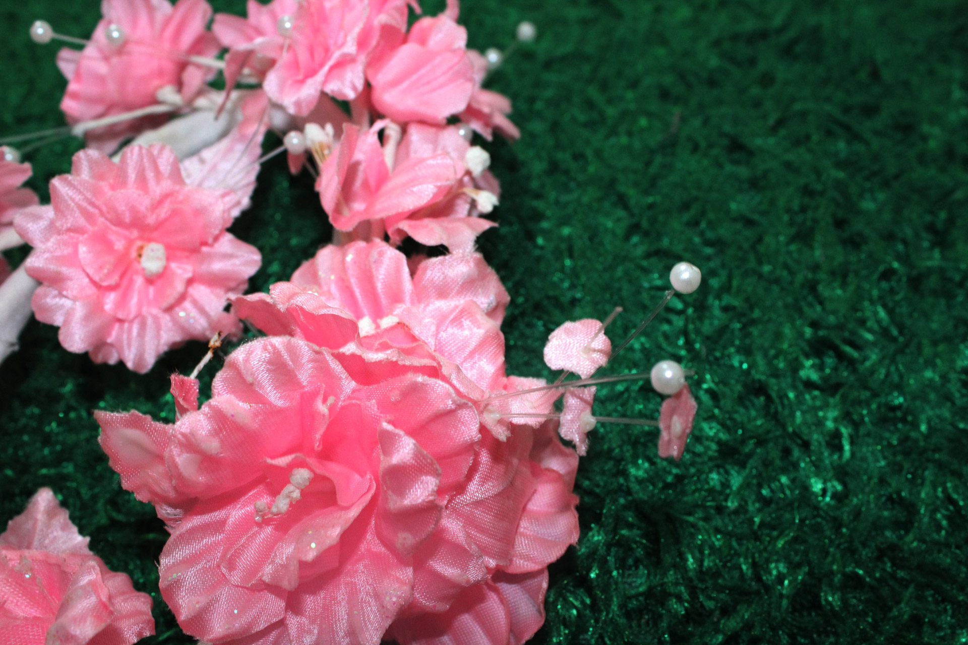 pink flowers flowers leaves free photo