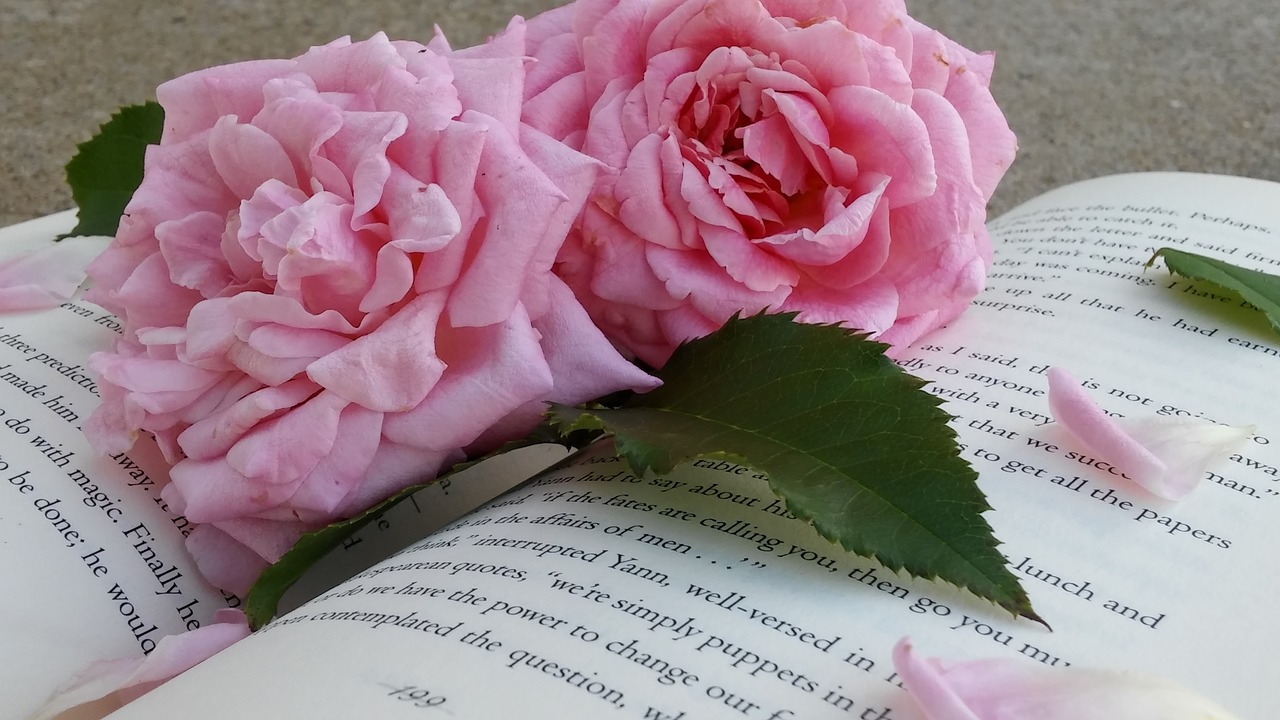Розовые розы и книги