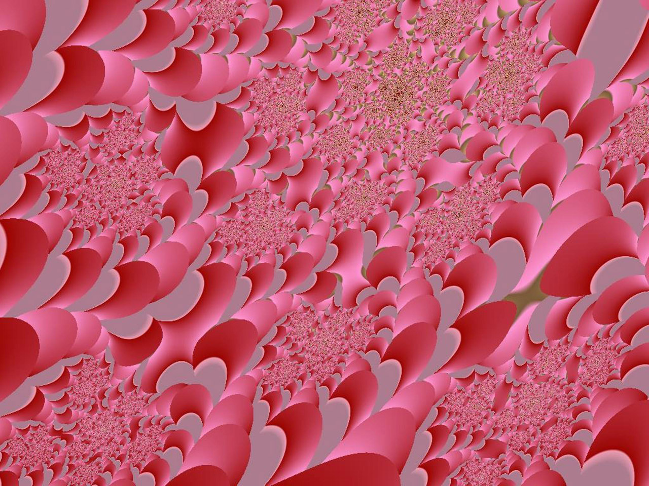 pink fractal pink fractal free photo