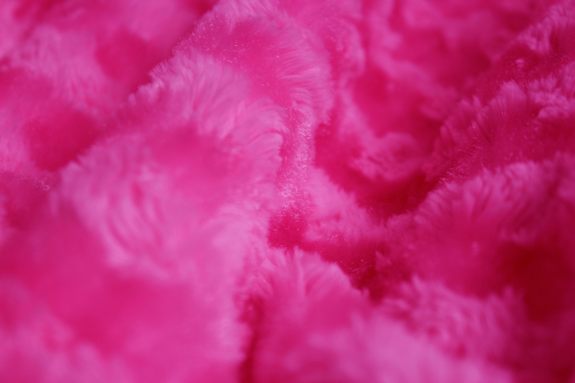 fur pink fur background free photo