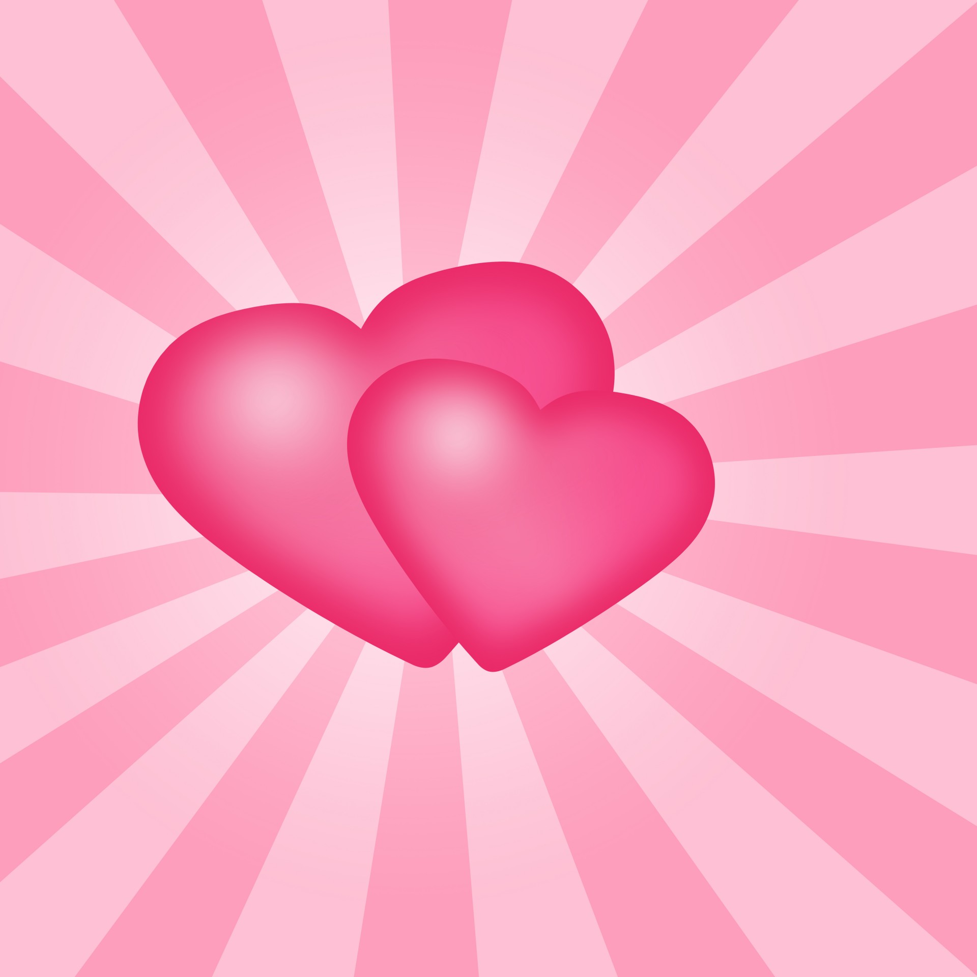 heart hearts pink free photo