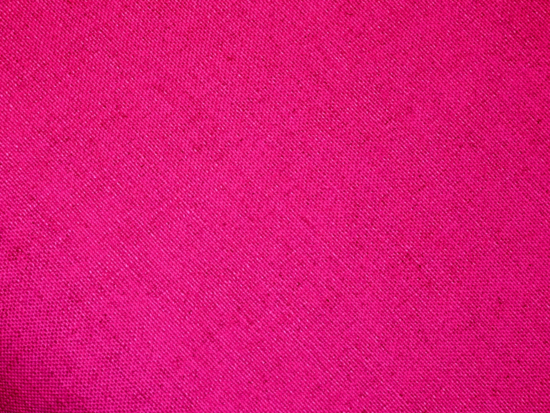 pink red cerise free photo