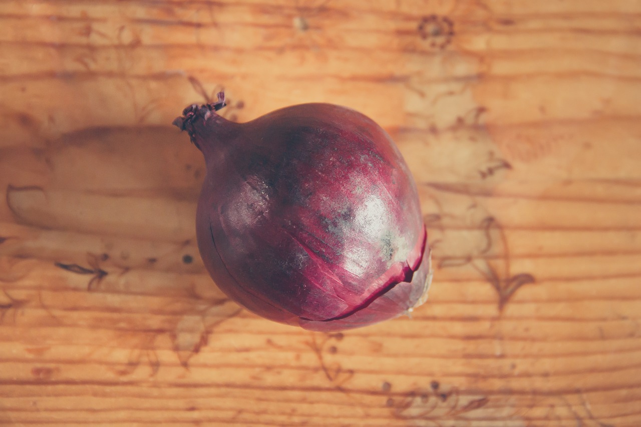 pink onion pink onion free photo