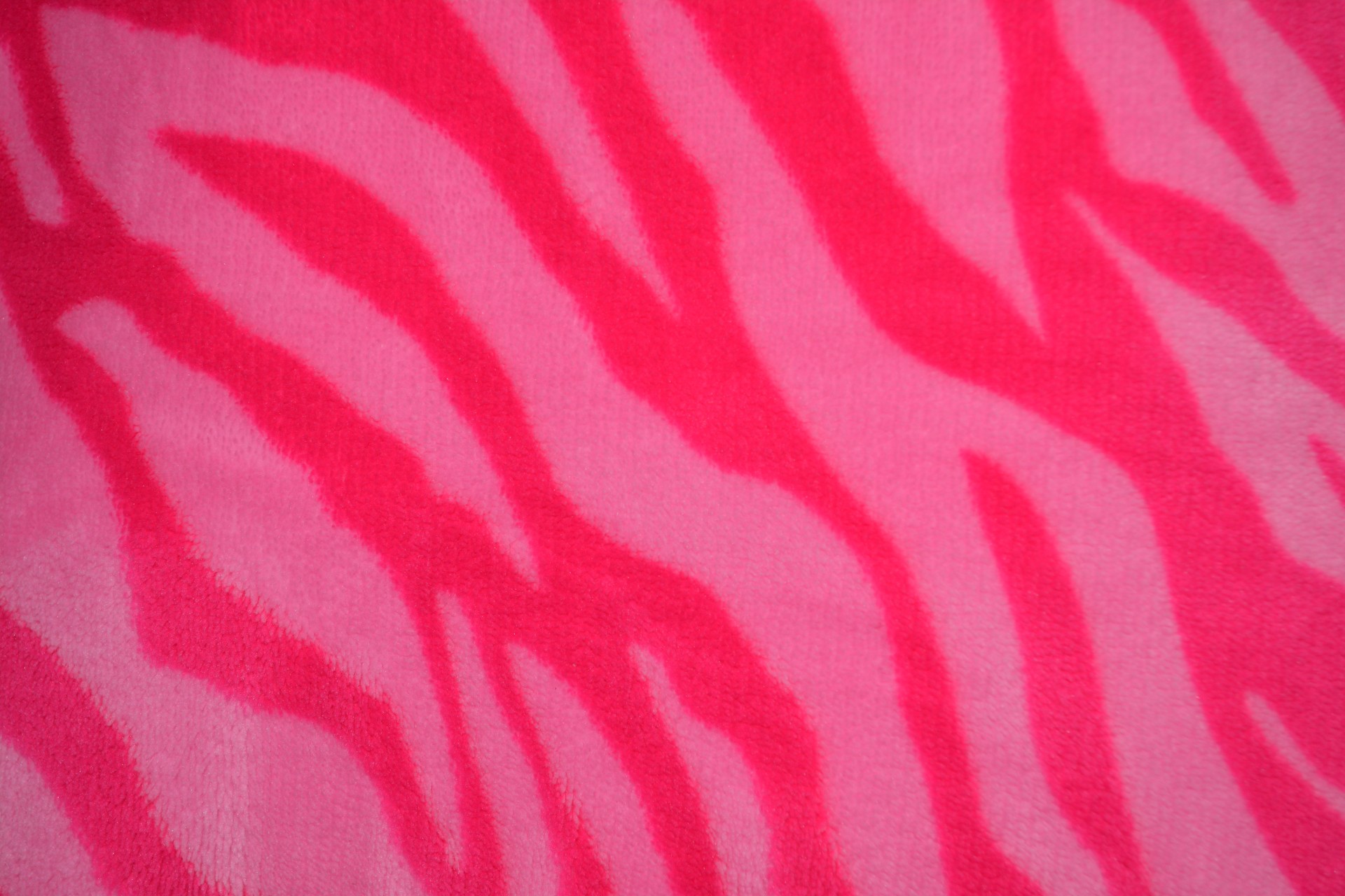 pattern digital pink free photo