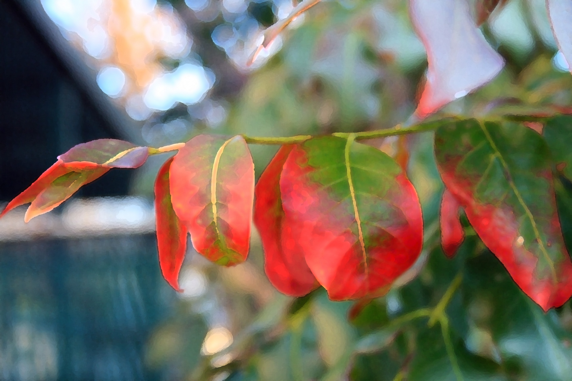 leaves compound discoloured free photo