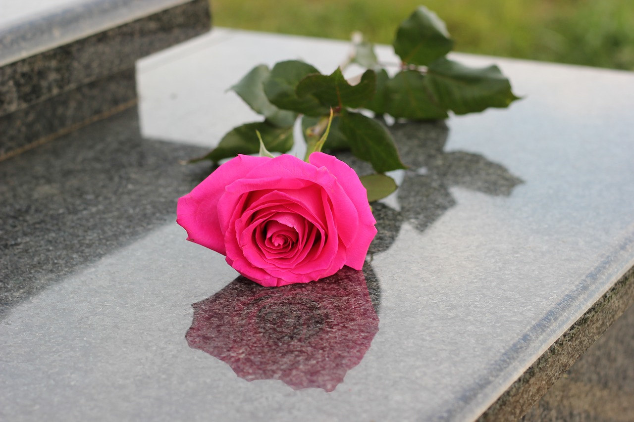 pink rose grey marble gravestone free photo