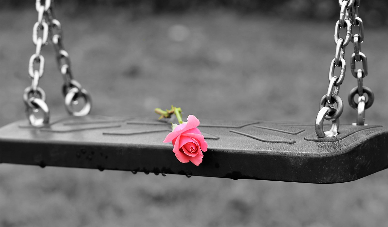 pink rose on empty swing  stop children suicide  empty playground free photo