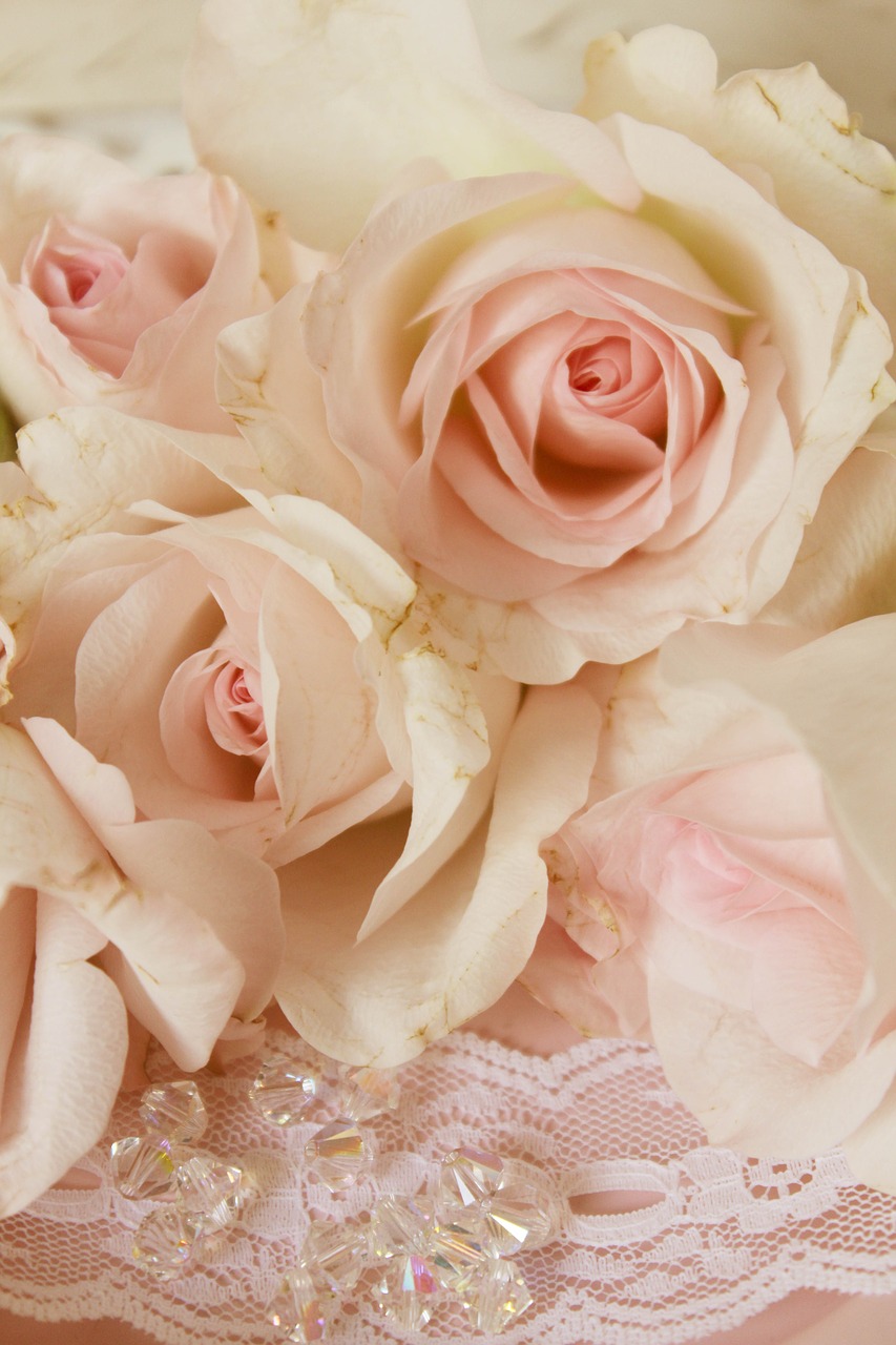 pink roses beads background free photo