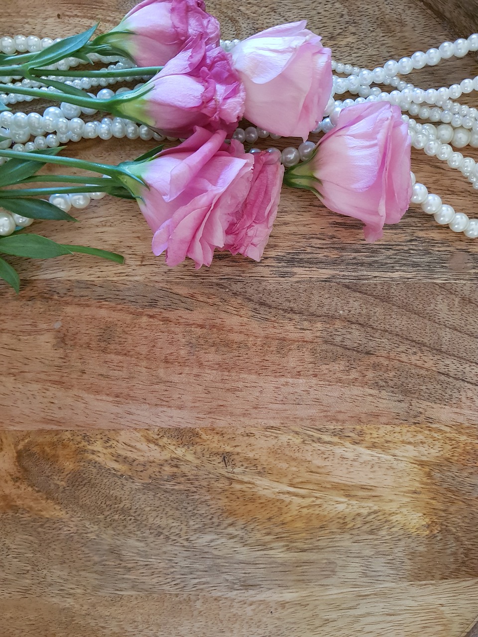 pink roses  pearls  roses free photo