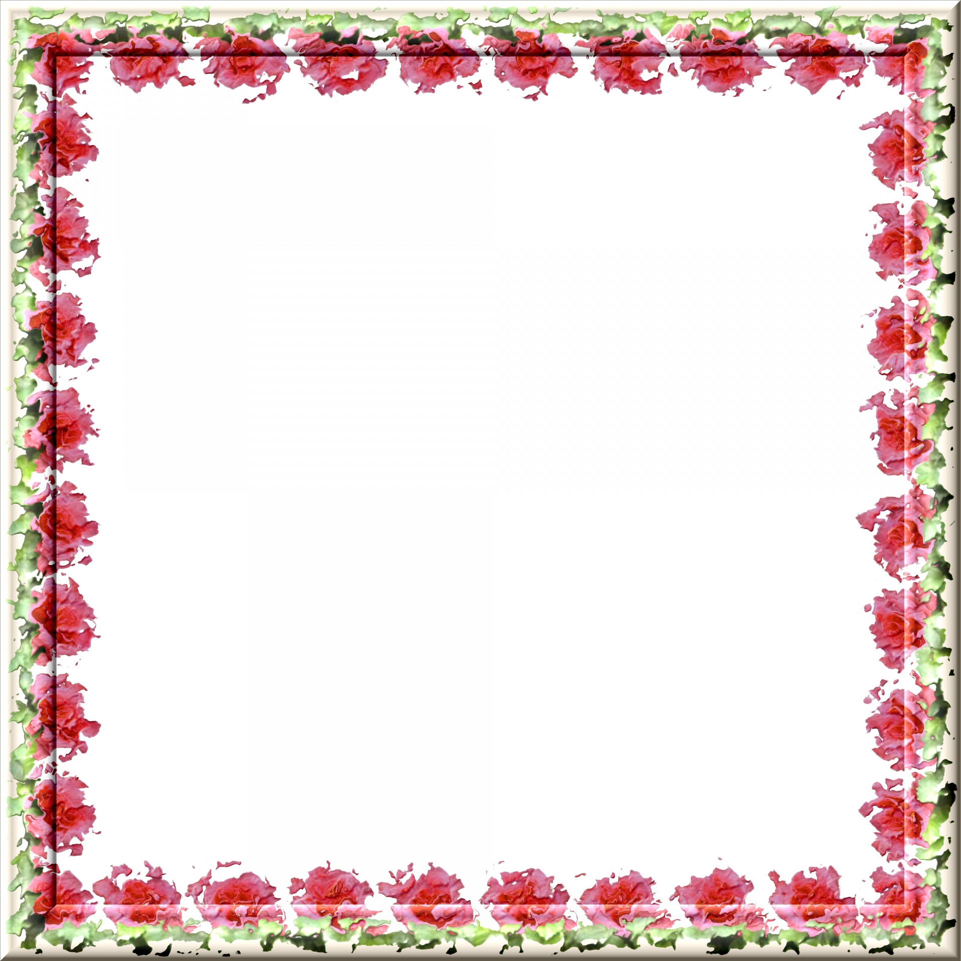 pink roses pattern free photo