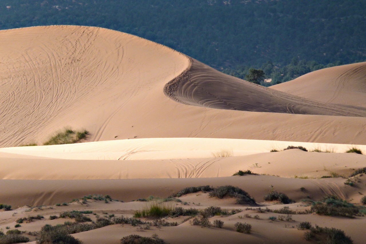 pink sand dunes utah usa free photo