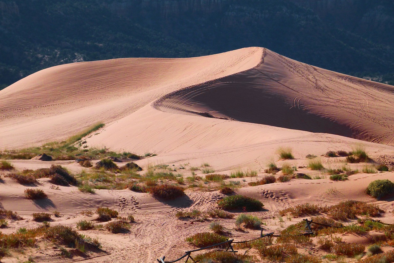 pink sand dunes utah usa free photo