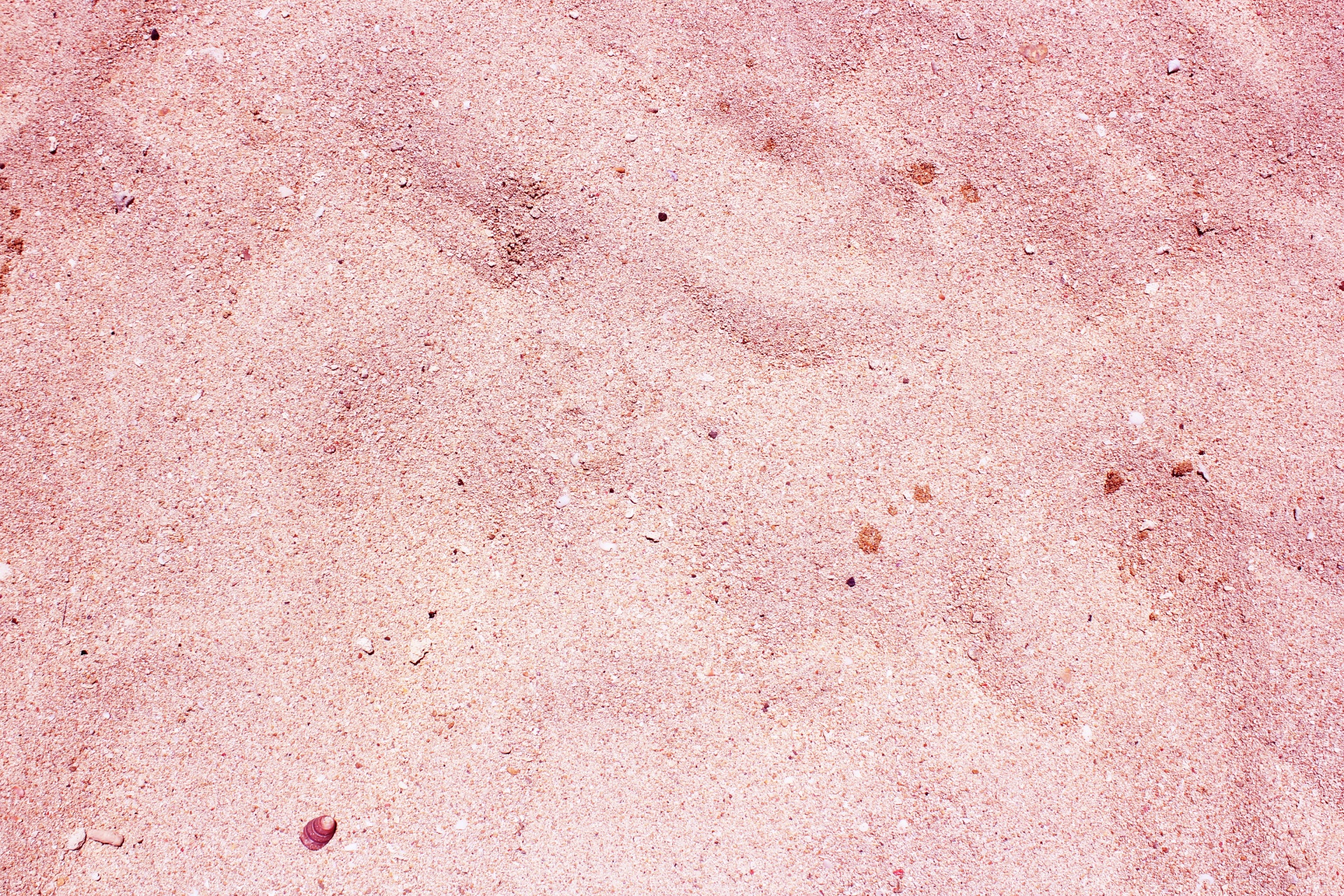 sand pink pink sand free photo