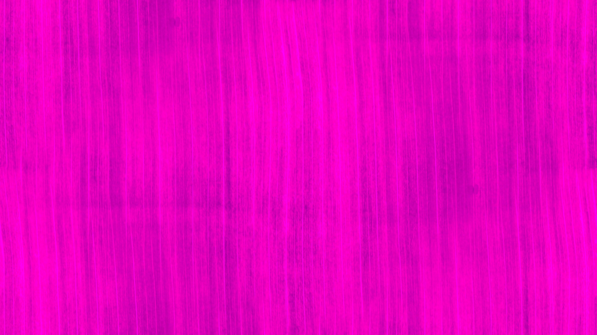 pink background web free photo