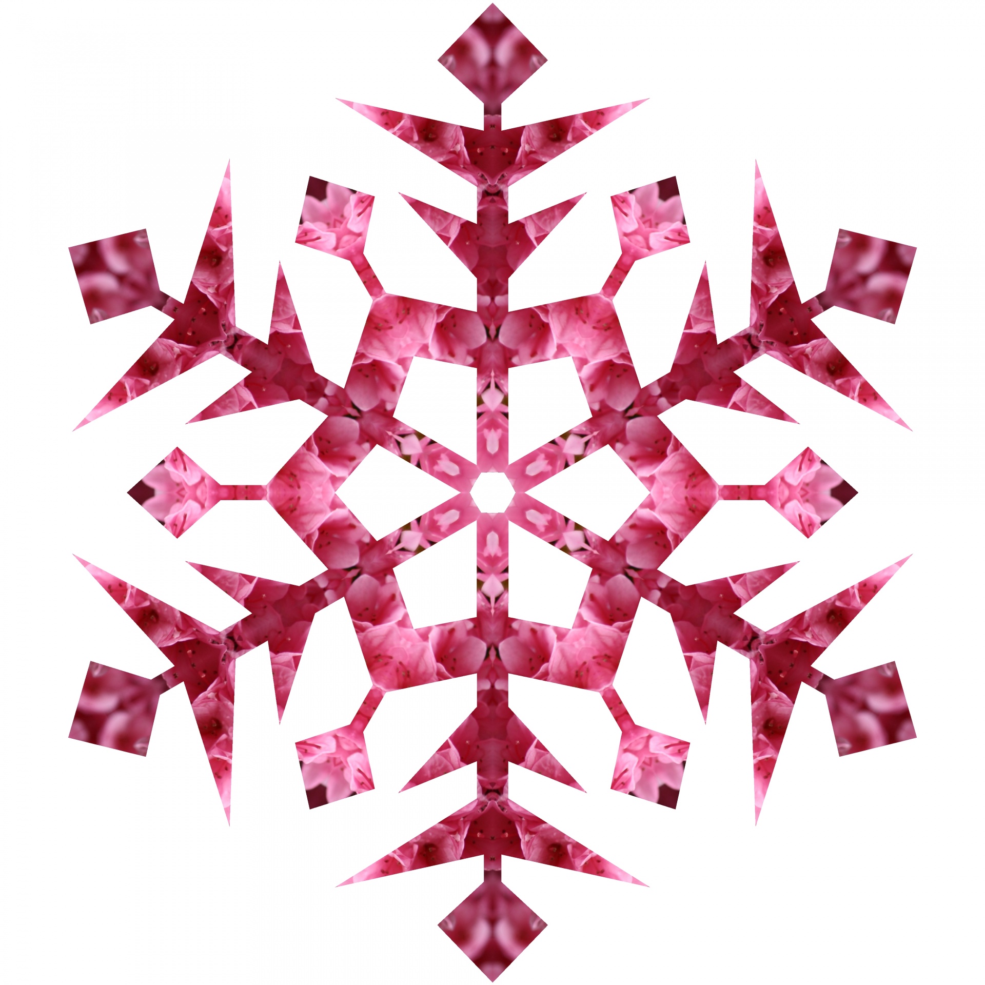 pink snowflake line free photo