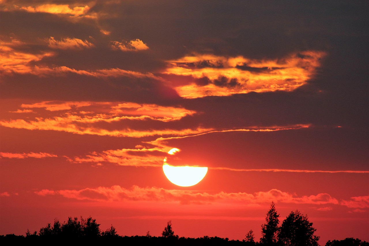 pink sunset evening nature free photo