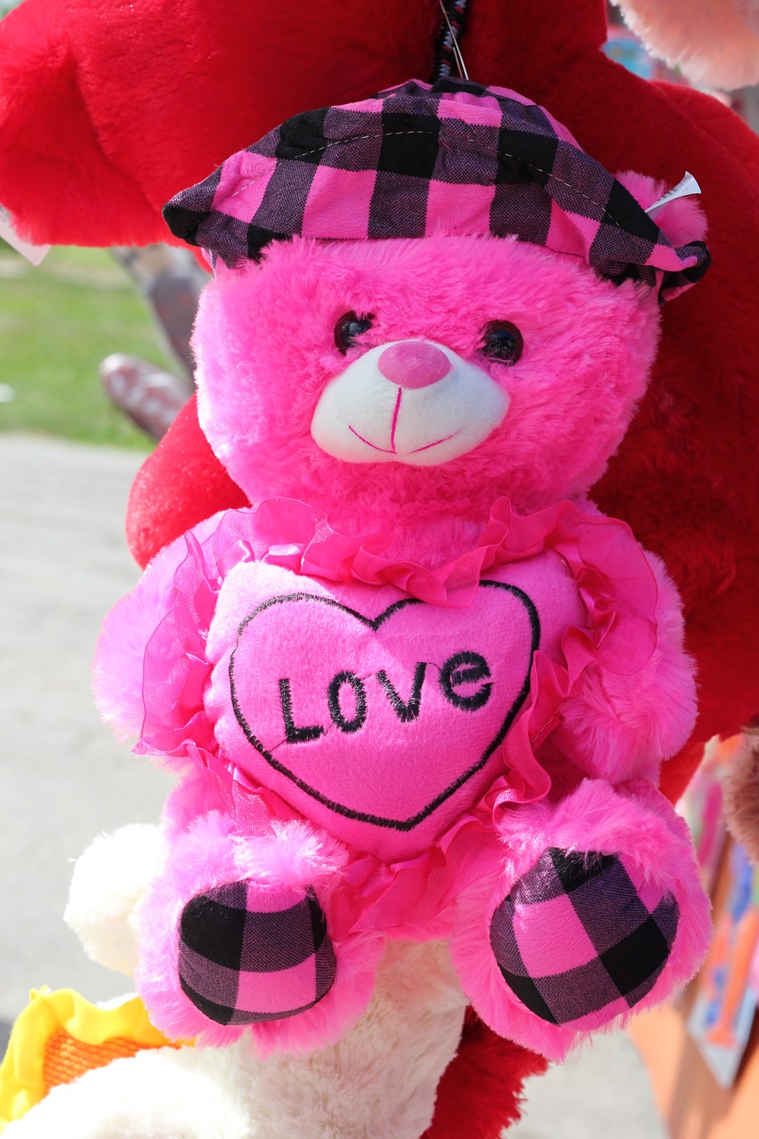 pink teddy bear colorful funny free photo