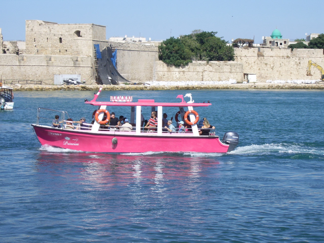 pink tourist boat free photo