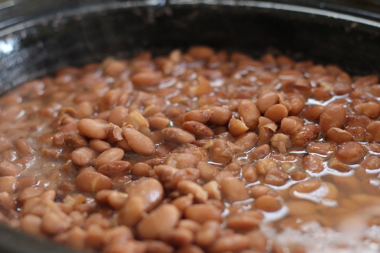 pinto beans beans cooking free photo