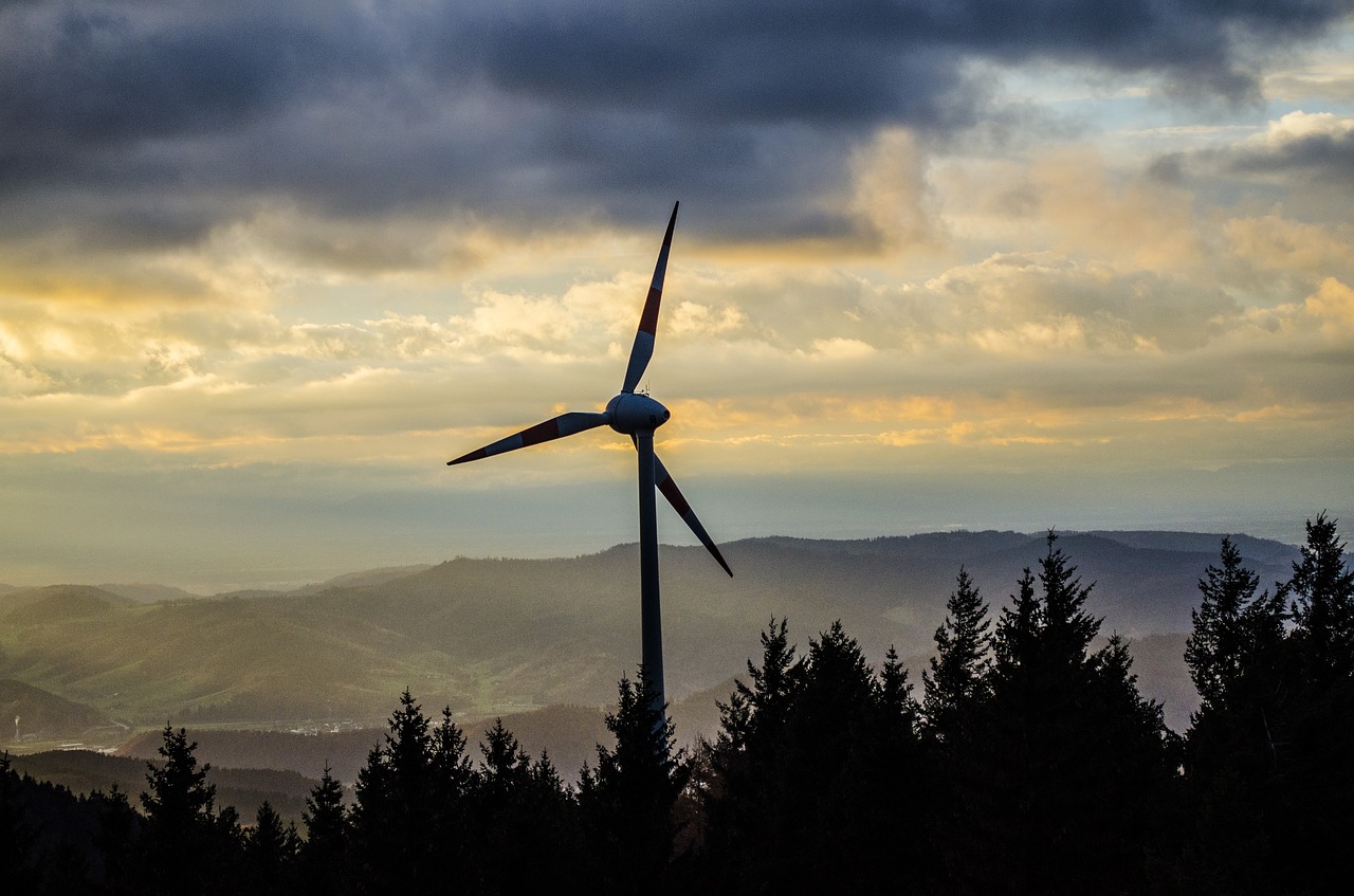 pinwheel black forest wind turbine free photo
