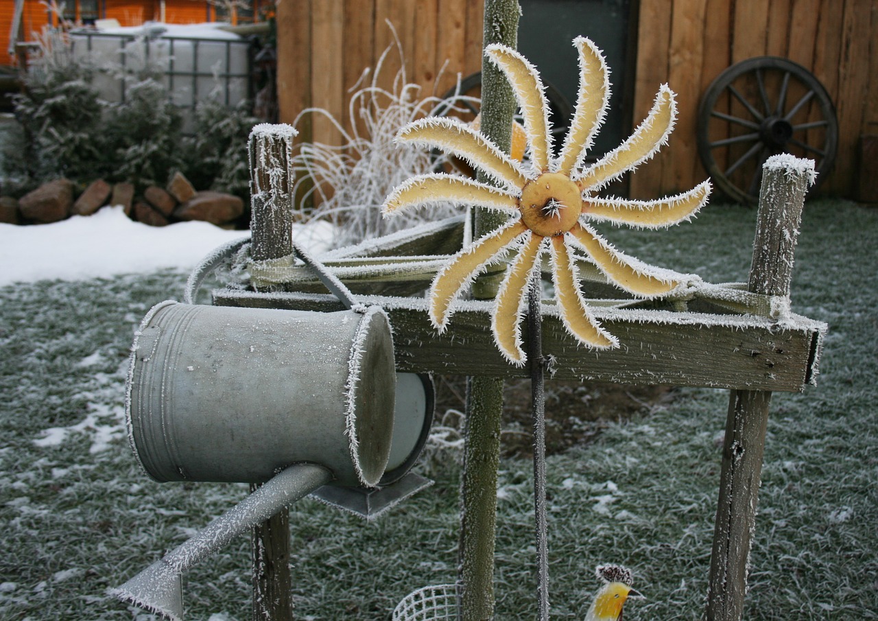 pinwheel frost hoarfrost free photo