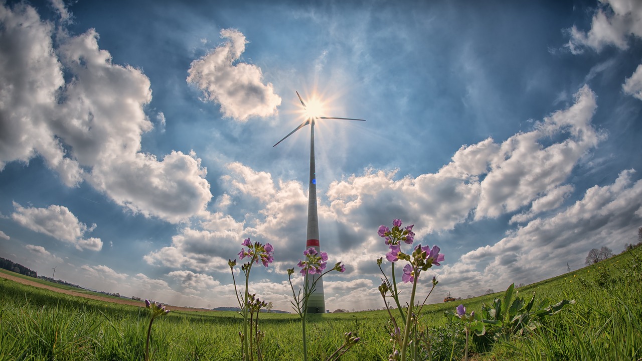 pinwheel sun sunbeam free photo