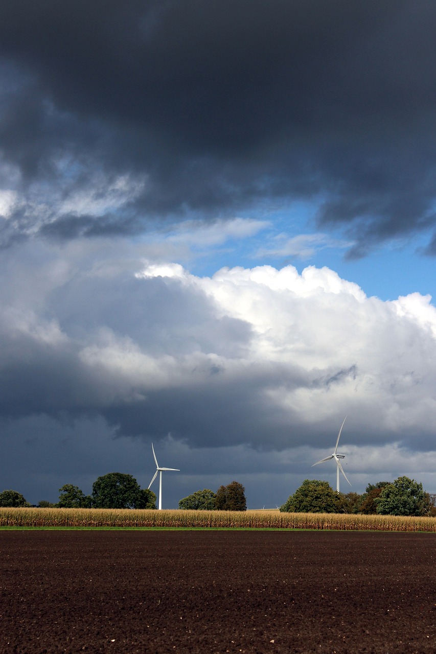 pinwheel windräder energy free photo