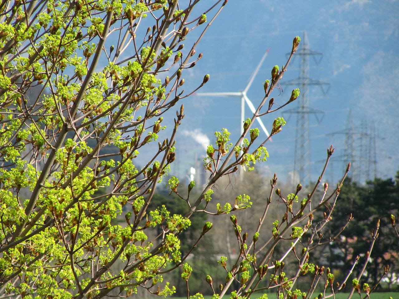 pinwheel energy wind power free photo