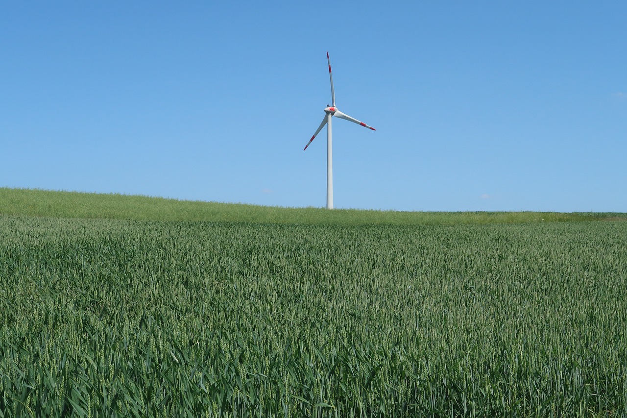 pinwheel  alternative energy  wind power free photo