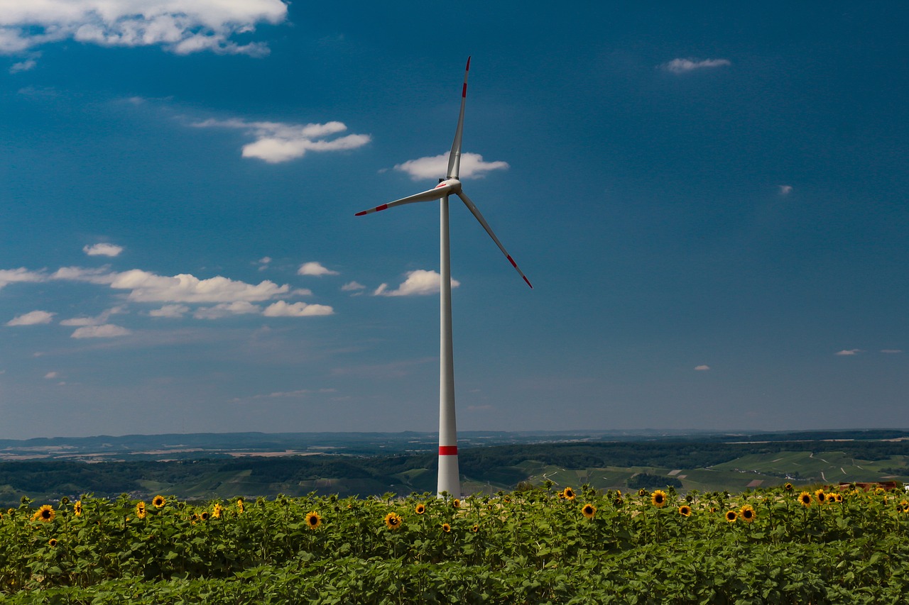 pinwheel  sunflower  wind energy free photo