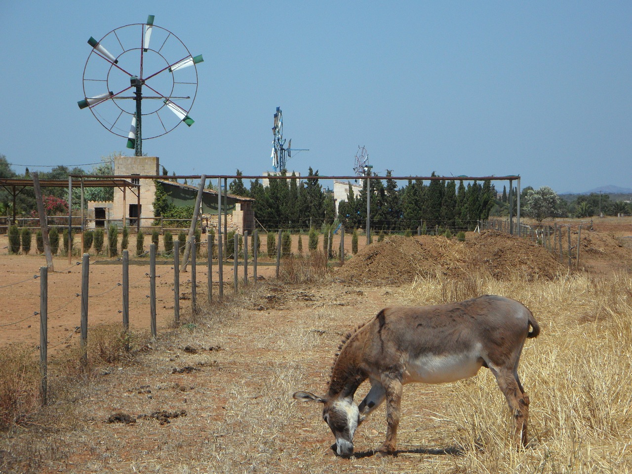 pinwheel mallorca metal free photo