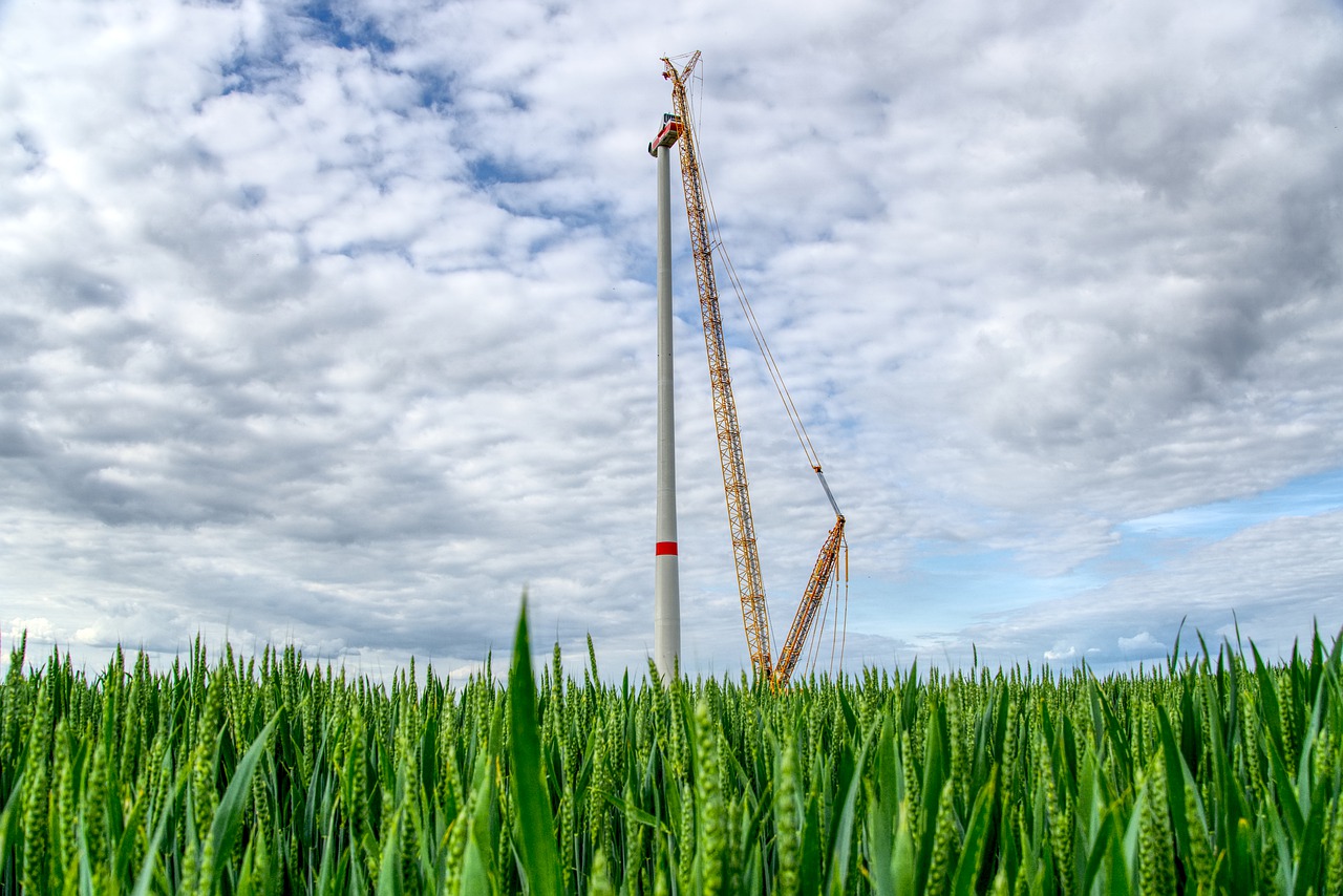 pinwheel  site  cornfield free photo