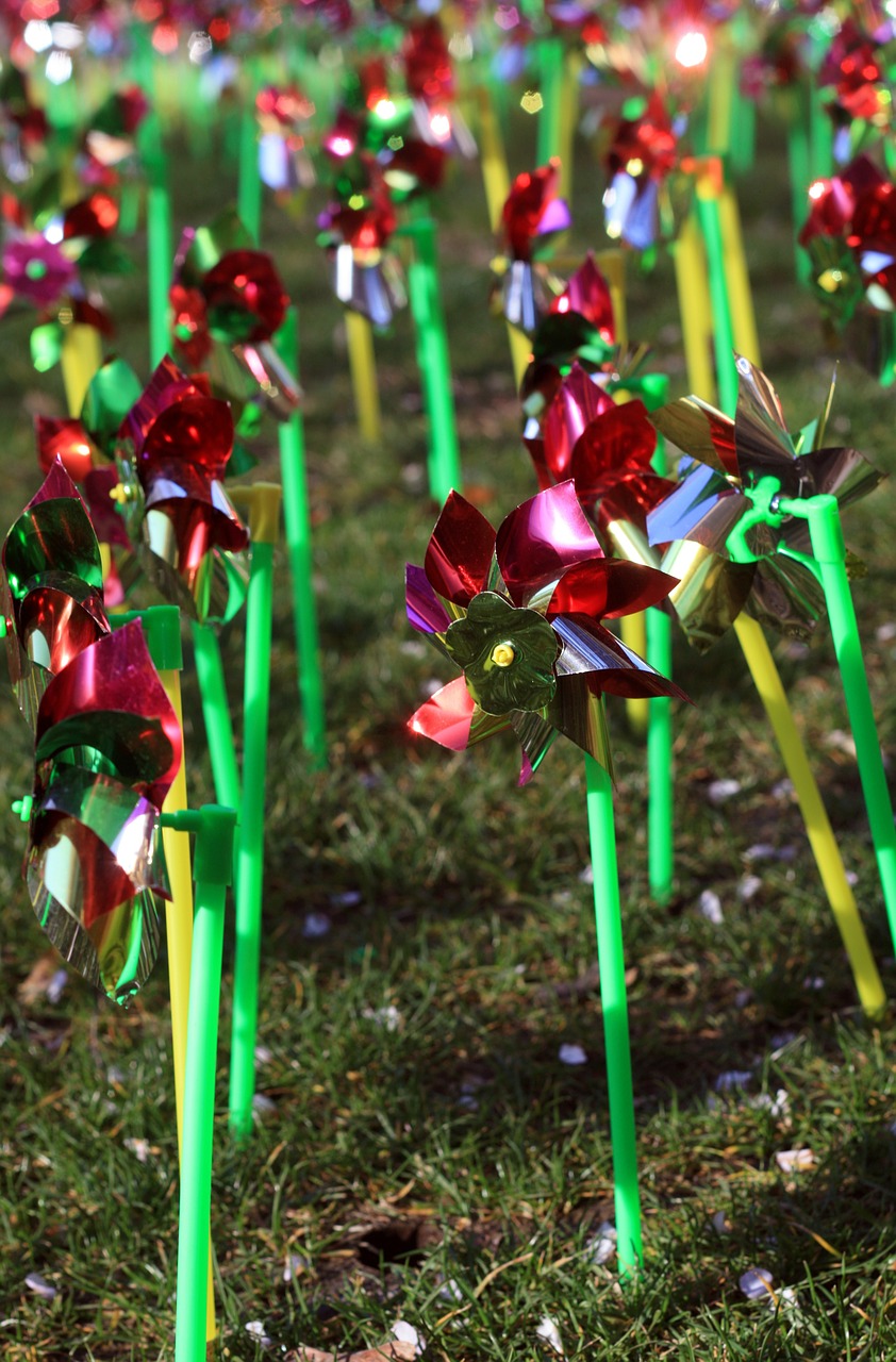 pinwheel field many free photo