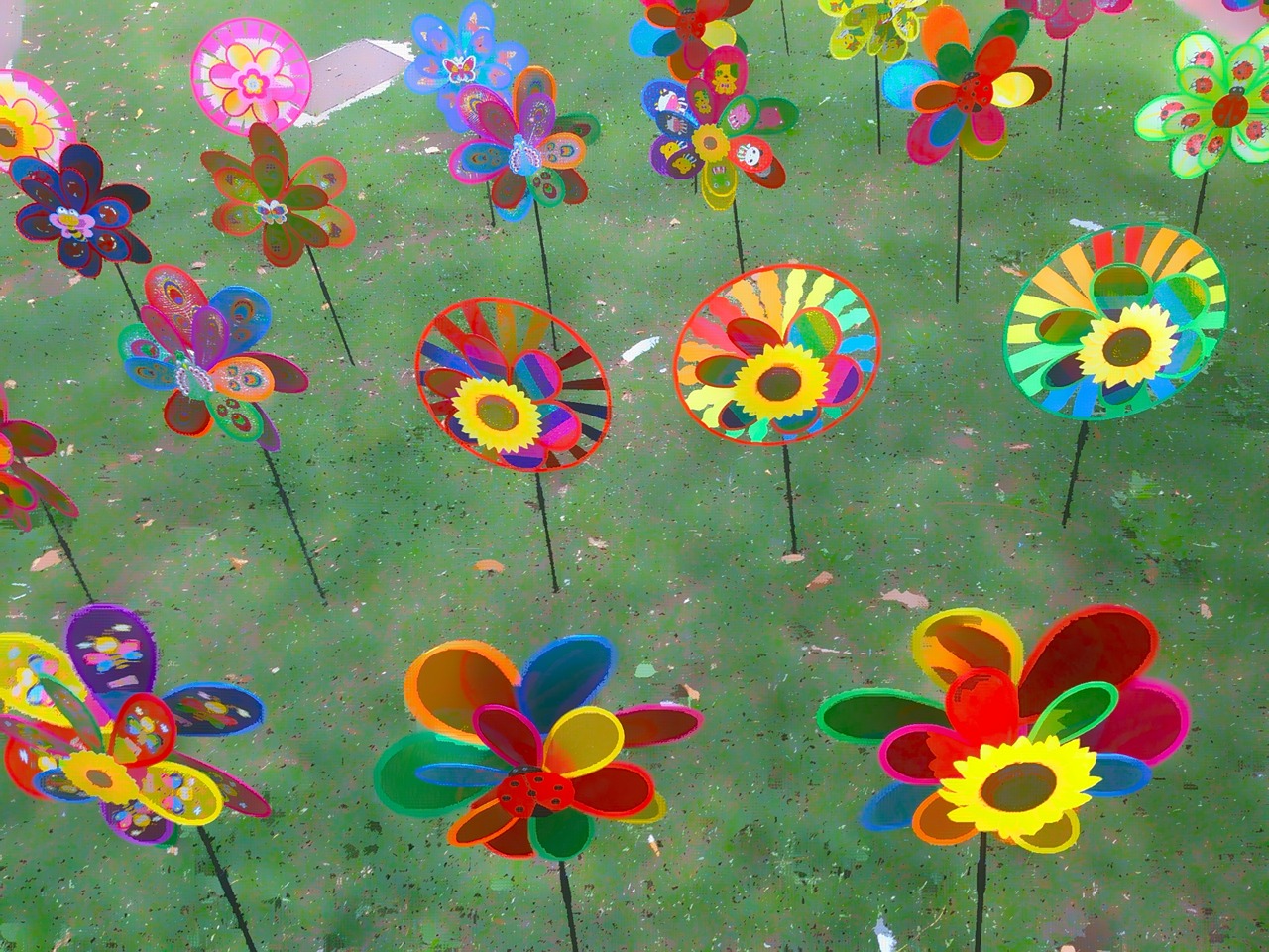 pinwheels prato green free photo
