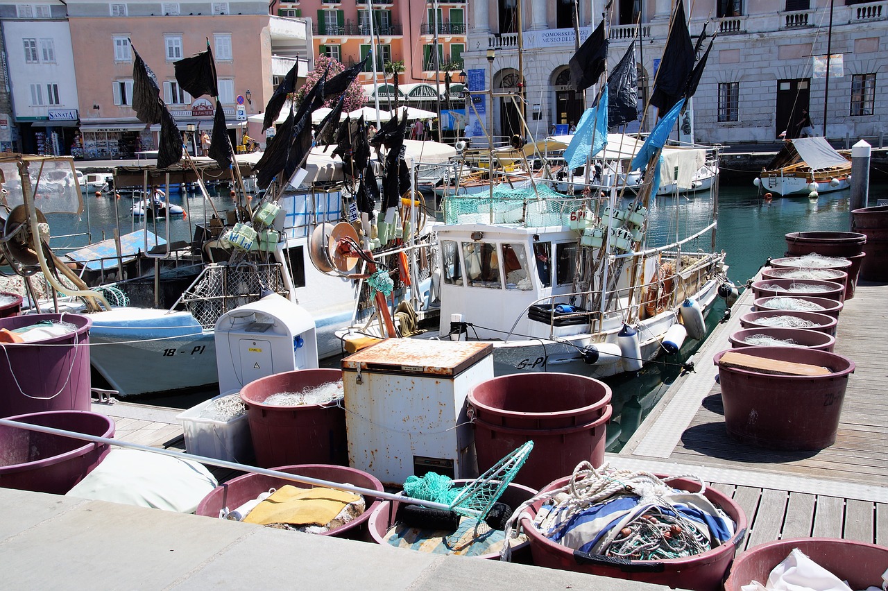 piran city fishing port free photo
