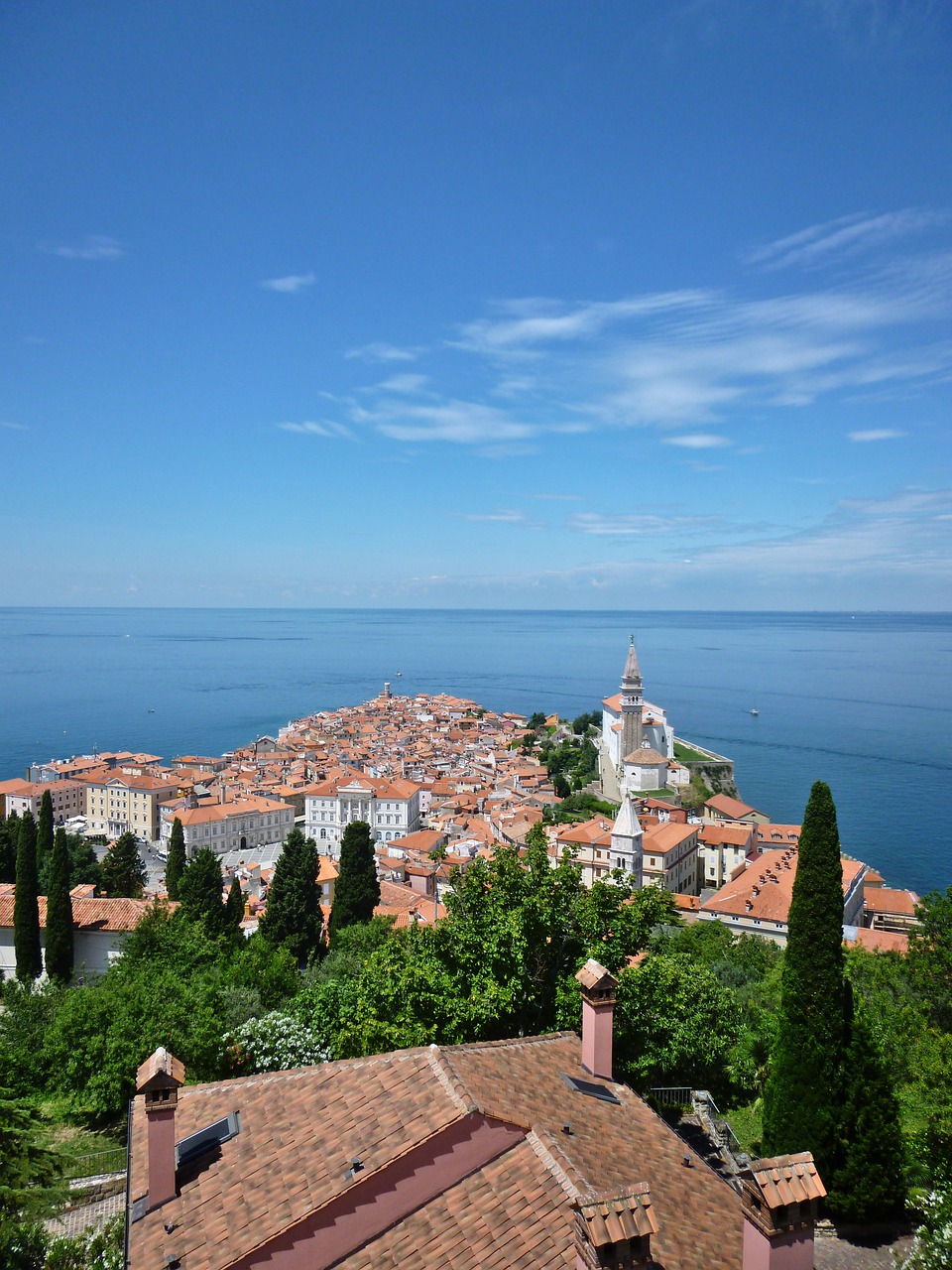 piran  slovenia  sea free photo