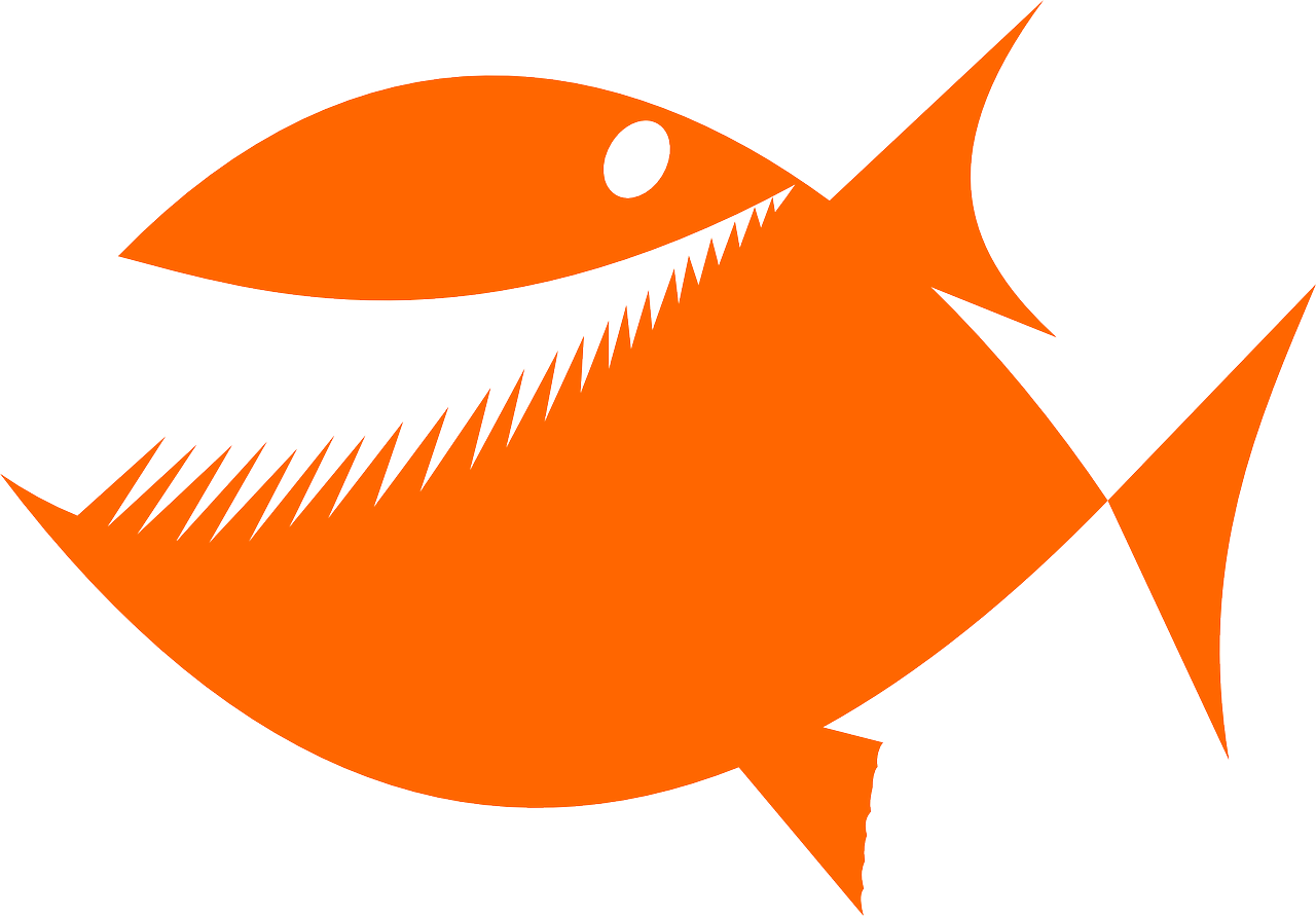 piranha fish silhouette free photo