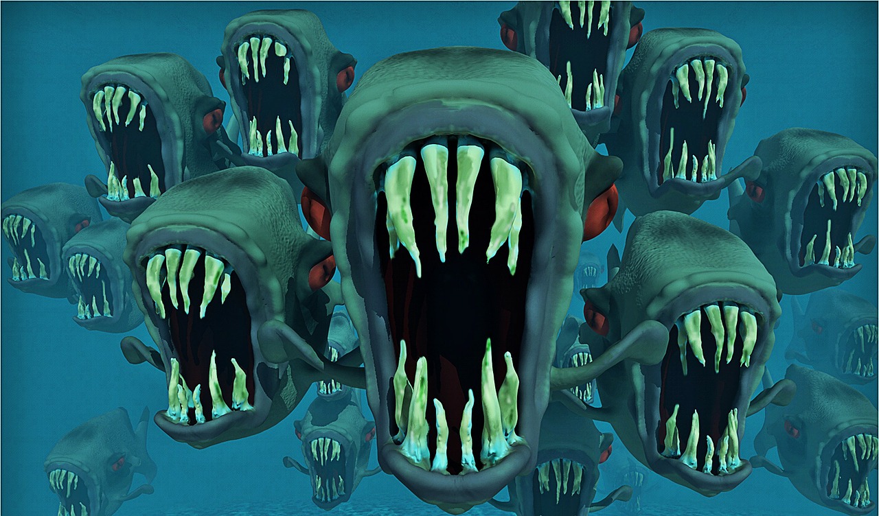 piranhas nightmare fish swarm free photo
