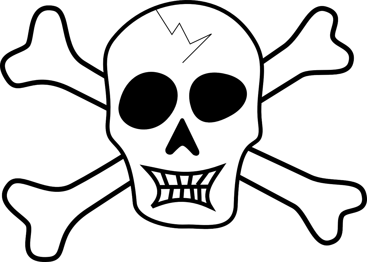 pirate piracy skull free photo