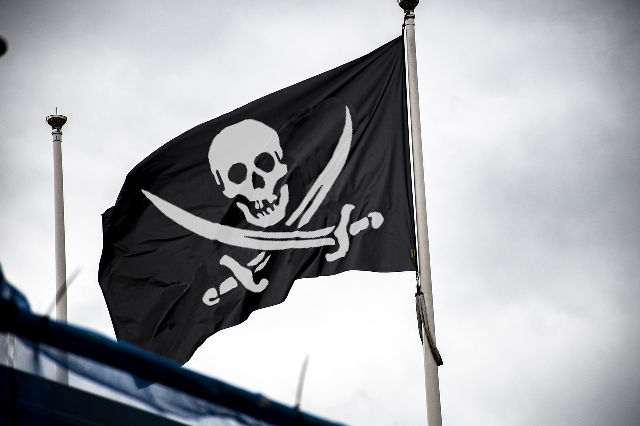 pirate  flag  skull free photo